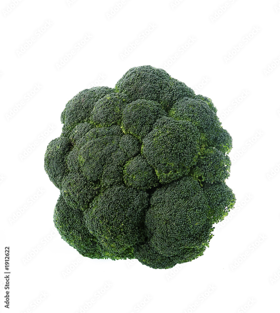 broccoli broccoli