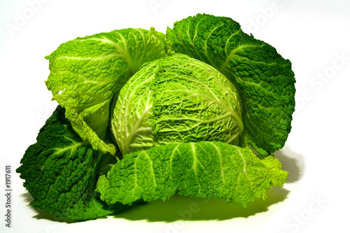 cabbage