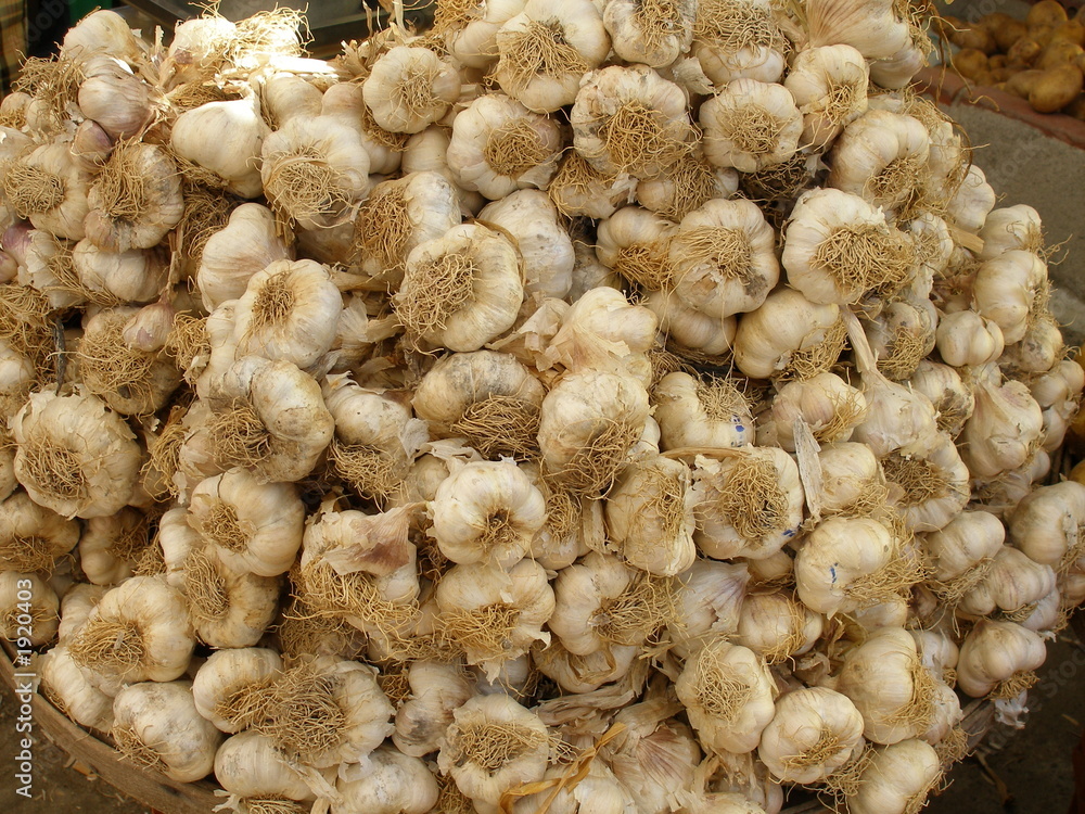 garlic piled up