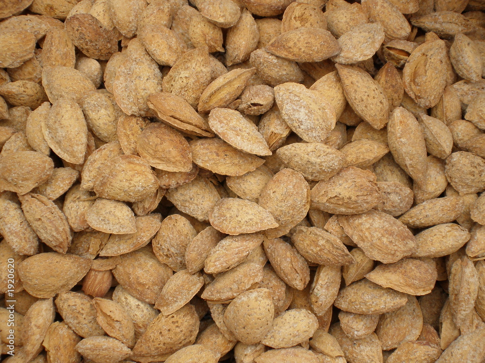 almonds in shells almonds in shells