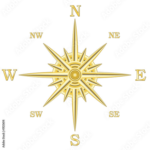 metallic compass wind rose