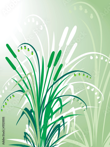 grass background