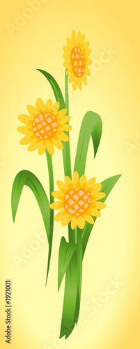 floral design
