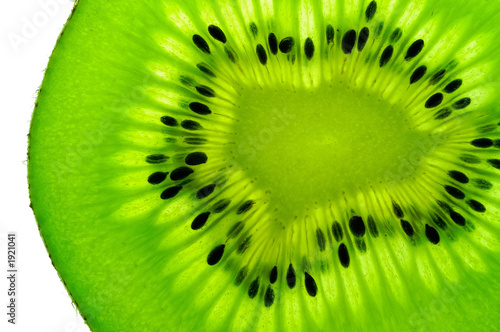 kiwi fruit  slice on a light table (back lighted)