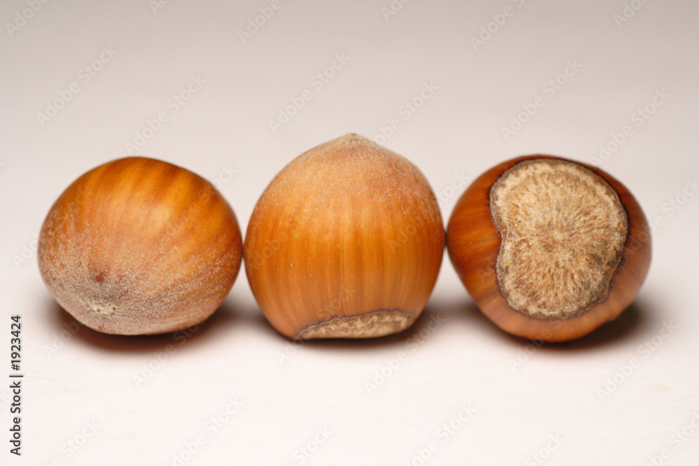trois noisettes trois noisettes