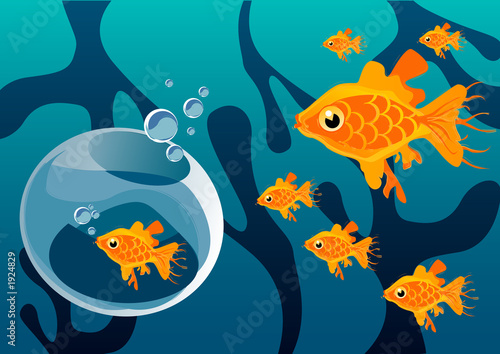 goldfish group