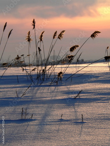 reed on sundown 2