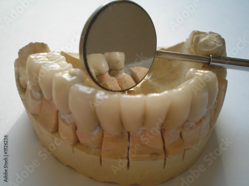 teeth model