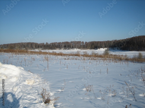 winter landscape