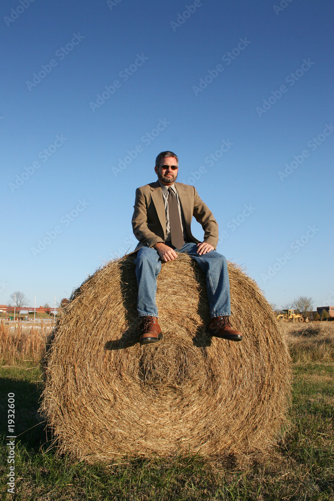 haystack haystack