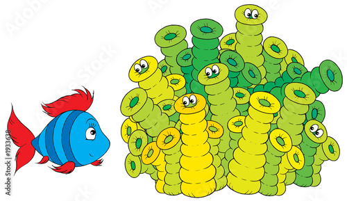 striped fish and corals