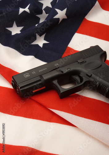 Cuadro en lienzo gun control
