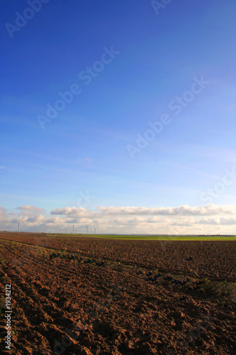 paysage champetre