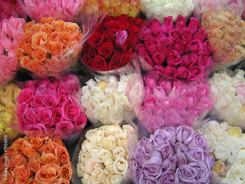 roses