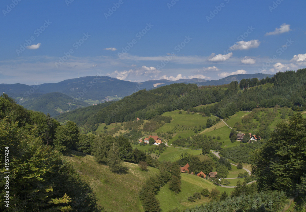 Fototapeta premium w Czarnym Lesie