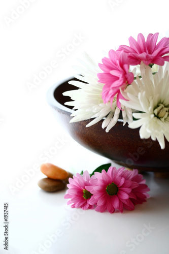 wooden bowl of fresh therapy.