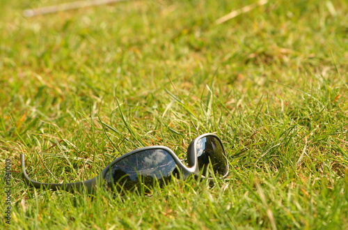 shades in grass