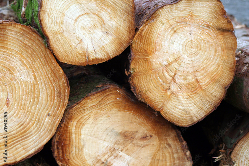 stacked timber stacked timber