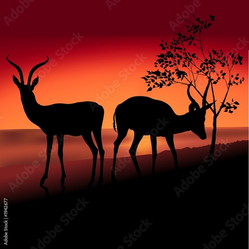 antelope silhouette b