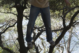 teen climbing on a tree over the ocean