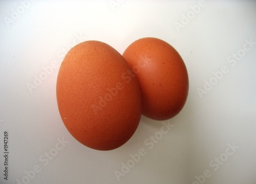 oeuf 2