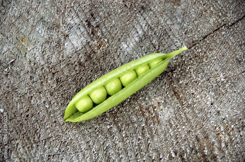 Billede på lærred pea pod