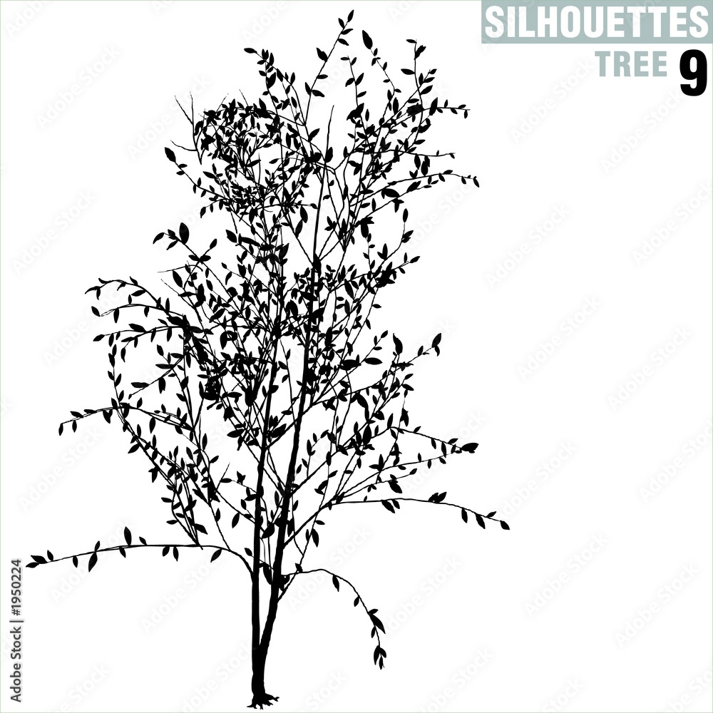 Naklejka premium tree silhouette 09
