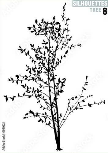tree silhouette 08