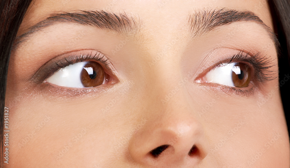 Fototapeta premium the best woman eyes