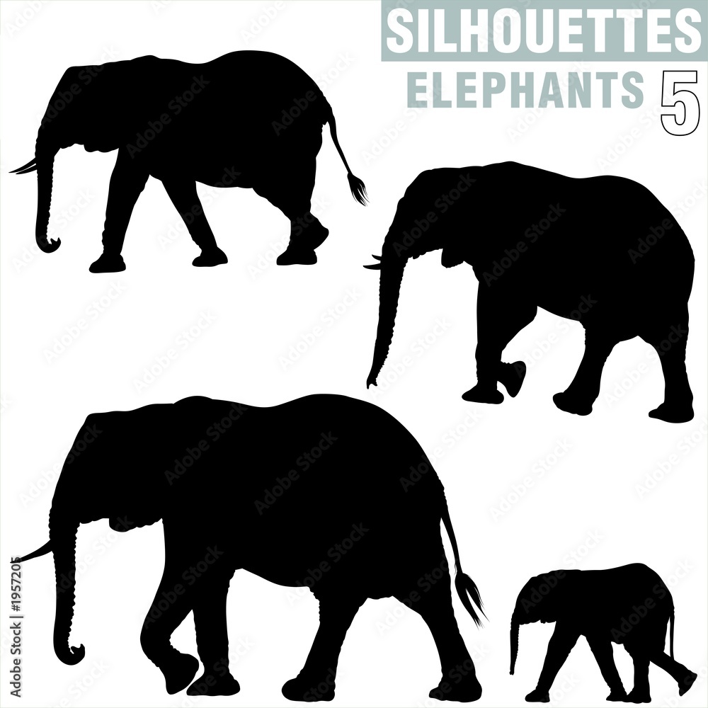 Fototapeta premium elephants silhouettes 5