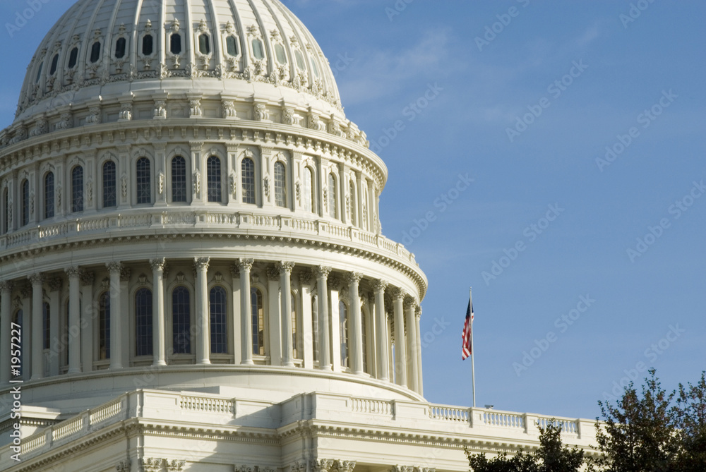 Obraz premium us capitol dome in washington dc