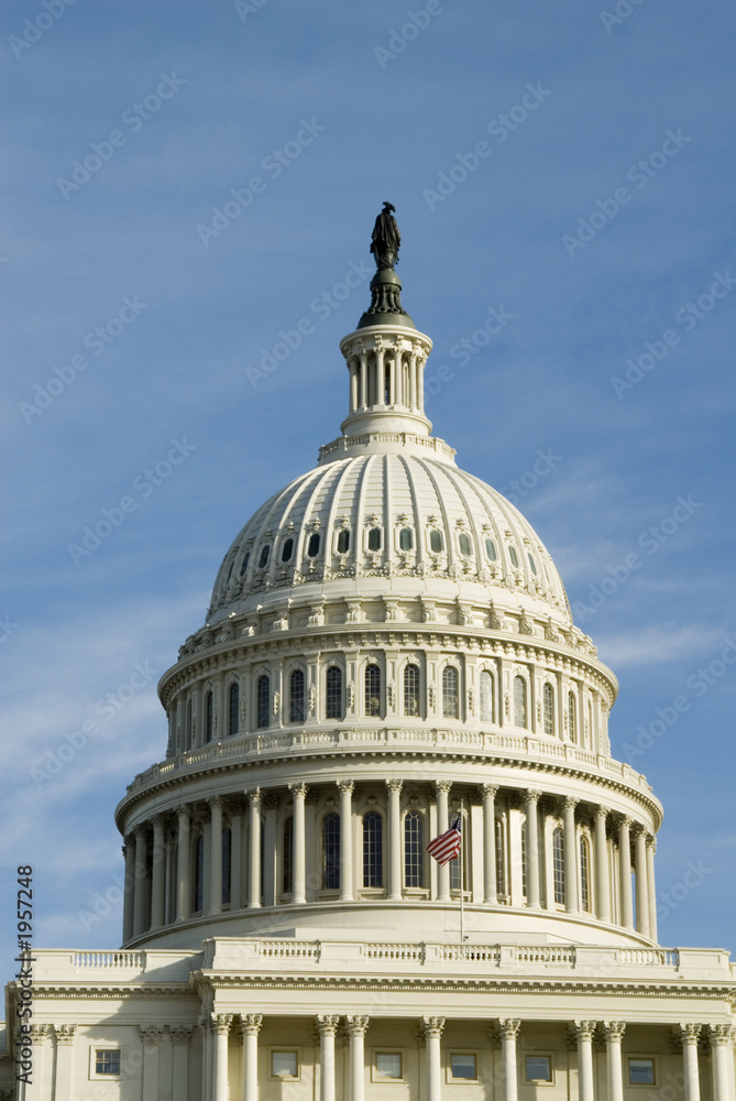 Fototapeta premium us capitol dome in washington dc