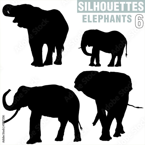 Photography elephants silhouettes 6