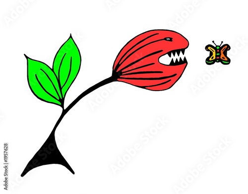 Quadro em tela plante carnivore