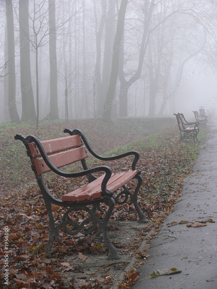red bench in the fog
