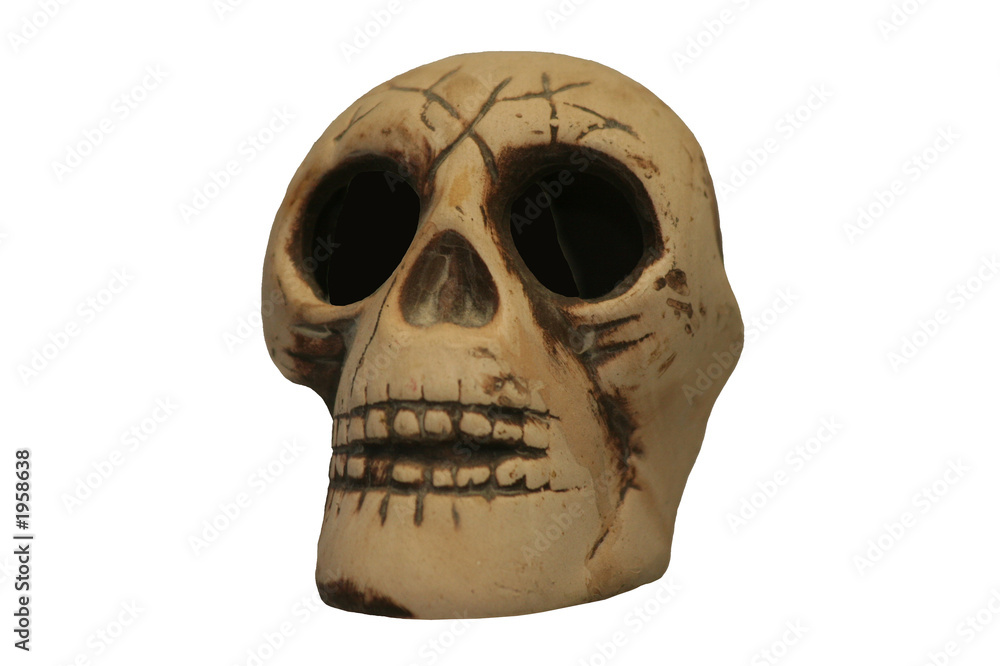 Obraz premium white skull