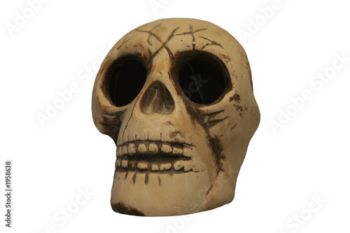 white skull