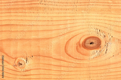 pine tree lumber macro photo