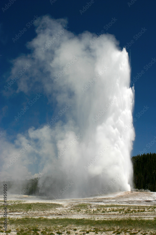 old faithful tall old faithful tall