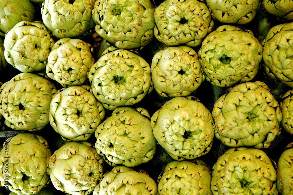 Obraz premium artischocken