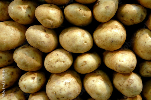 Obraz na płótnie kartoffeln w salonie