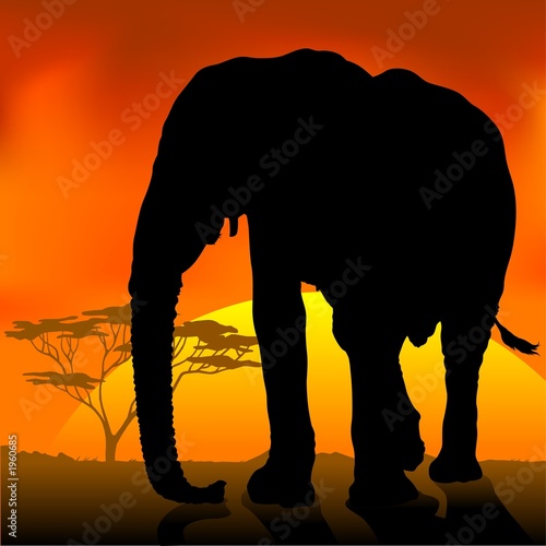 elephant silhouette a © Roman Dekan