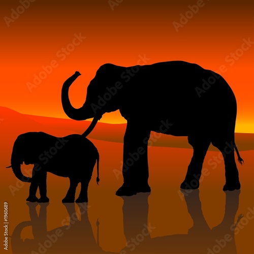 elephant silhouette c