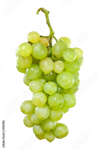 bunch of white grapes with drops of water