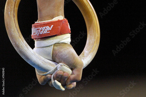 gymnastic rings