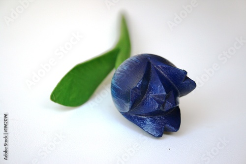 tulipe 1