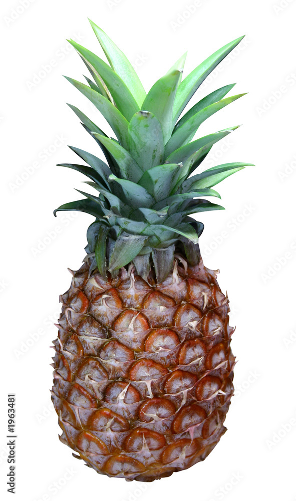 Fototapeta premium pinapple full
