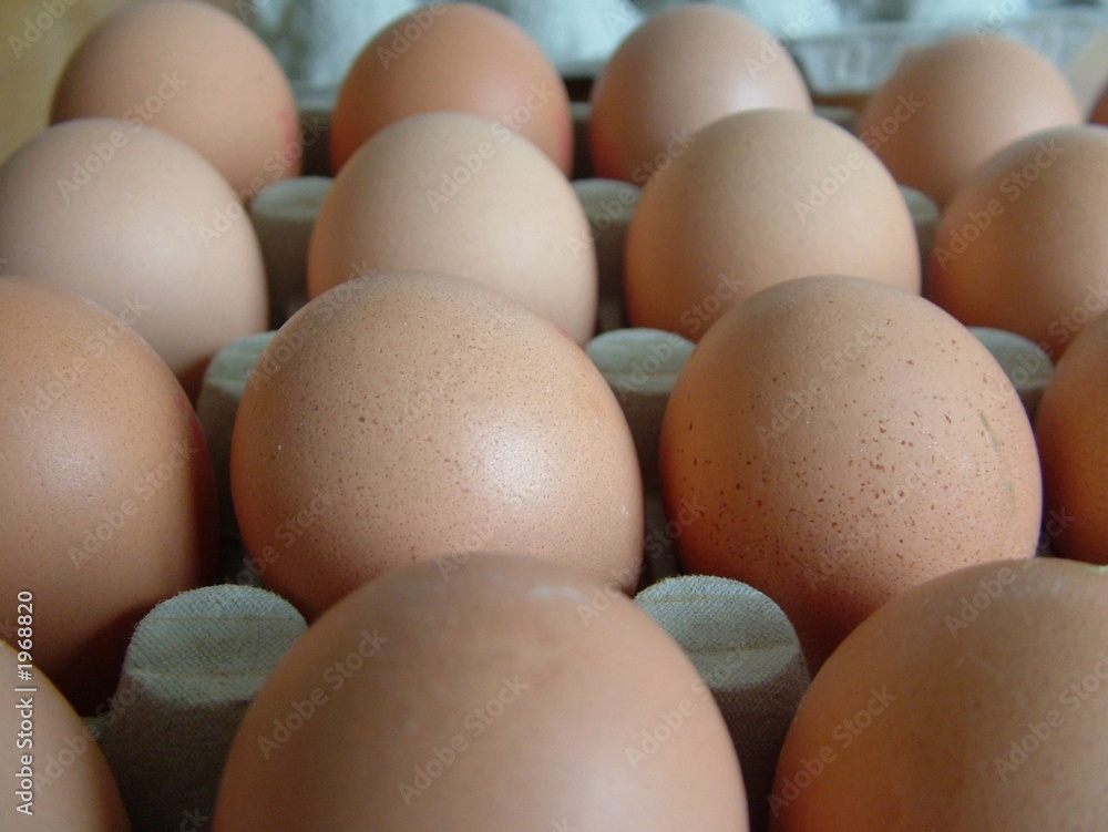 les oeufs les oeufs