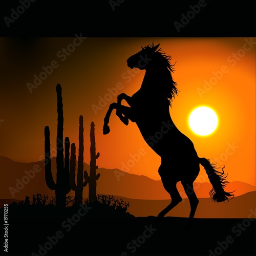 Fototapeta Naklejka Na Ścianę i Meble -  horse silhouette a