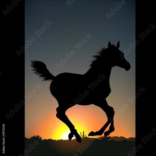 Fototapeta Naklejka Na Ścianę i Meble -  horse silhouette c